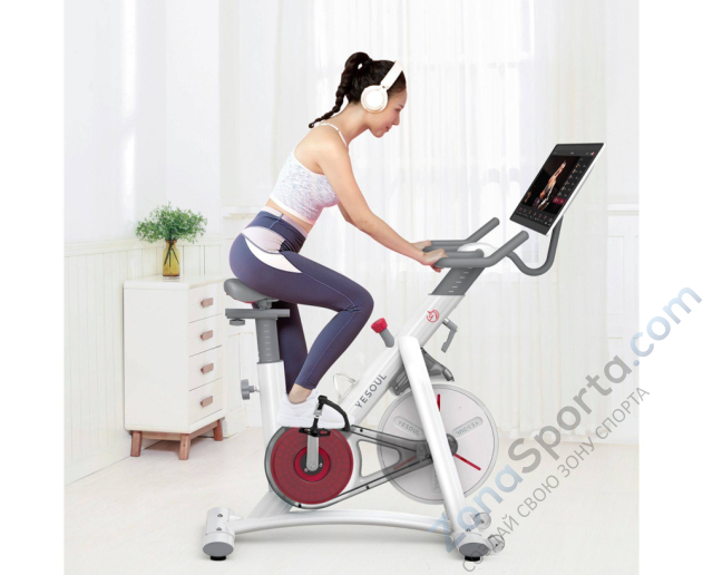 Велотренажер Yesoul BS3-W Pro Plus Велотренажер Yesoul BS3-W Pro Plus