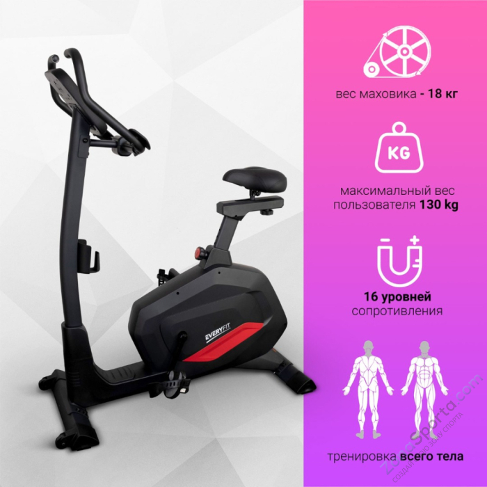 Вертикальный велотренажер Everyfit BX7P Вертикальный велотренажер Everyfit BX7P