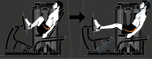 Жим ногами Steel Flex Hope HLP500 Жим ногами Steel Flex Hope HLP500