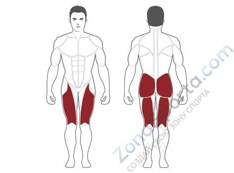 Жим ногами Steel Flex Hope HLP500 Жим ногами Steel Flex Hope HLP500