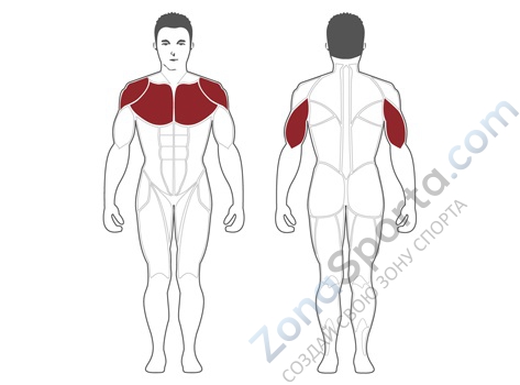 Жим от плеч Steel Flex Hope HIP1400